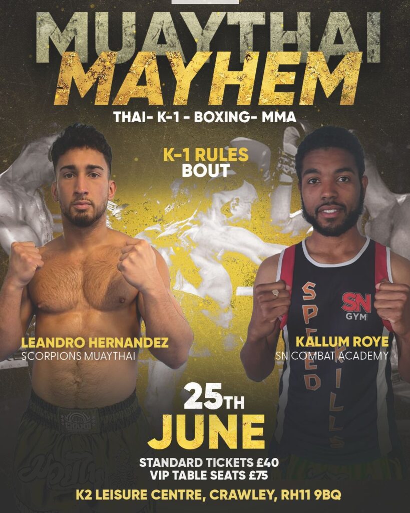 muaythai mayhem 1